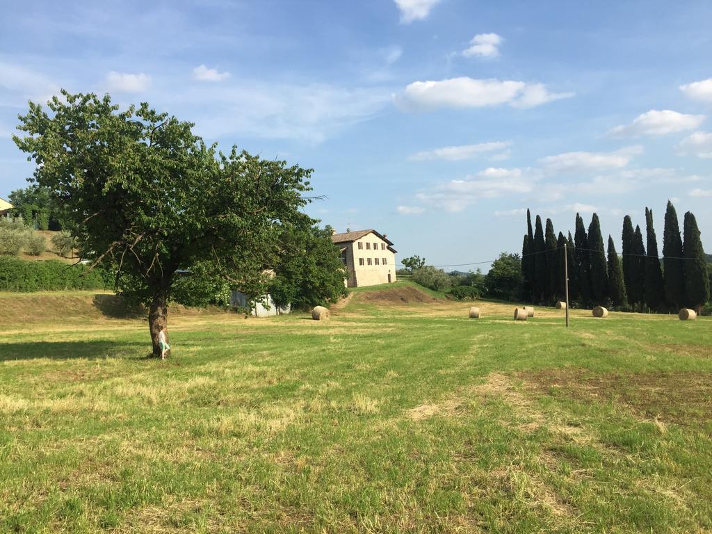 Casale Al Solivo B&B Castion Veronese Buitenkant foto